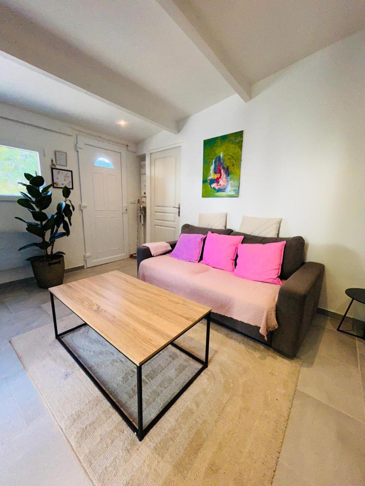 Maisons Detente Jardin, Terrasse Vue Mer Et Spa 马赛 客房 照片